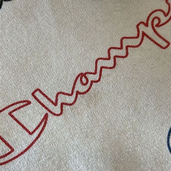 Champion Boys Multicolor Logo White Hooded Sweatshirt - Picture 5 of 9